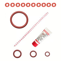 Saeco Reinigungs- Wartungskit für die Saeco Brühgruppe XXL